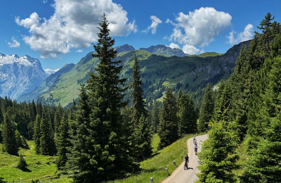 IMG_3959.JPEG IMG_3959