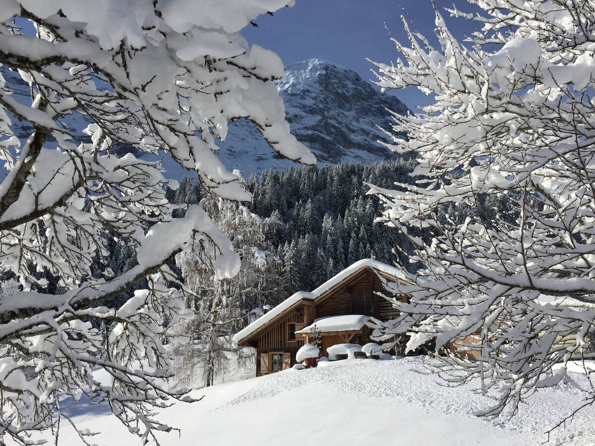 GRIWA RENT - Chalet Eigerhome - Grindelwald